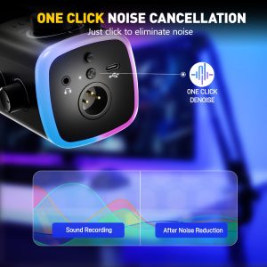 FIFINE AM9 USB C and XLR Microphone Connections